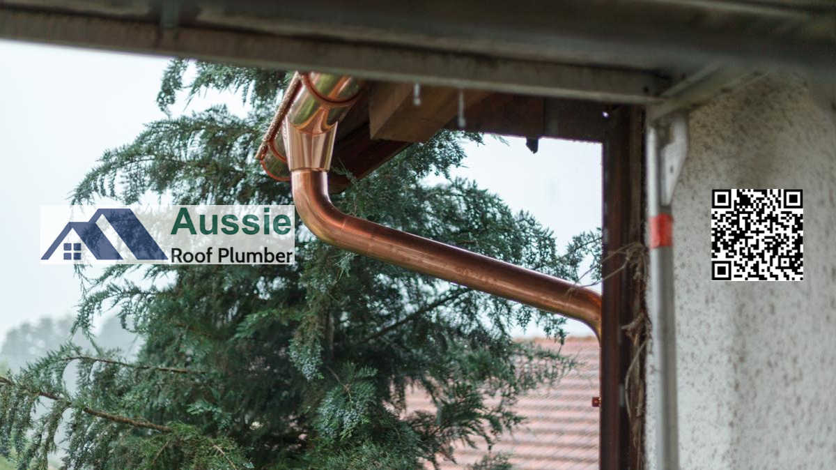 Gutter and Downpipe Services