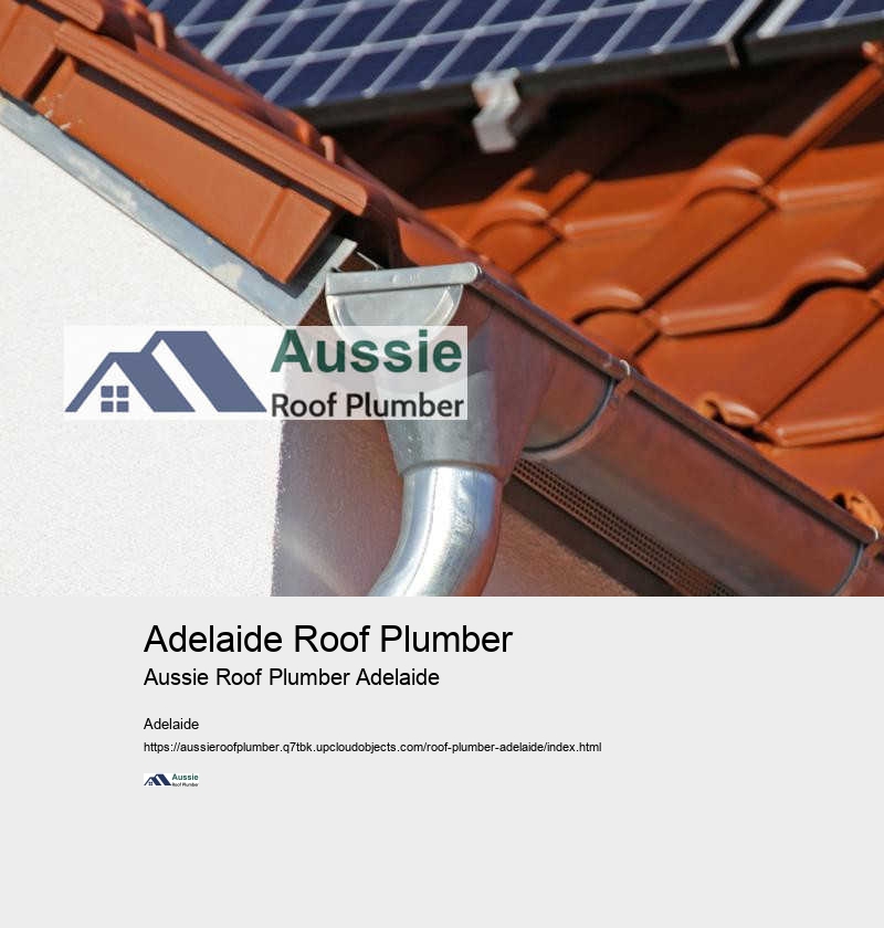 Roof Leak Detection Adelaide