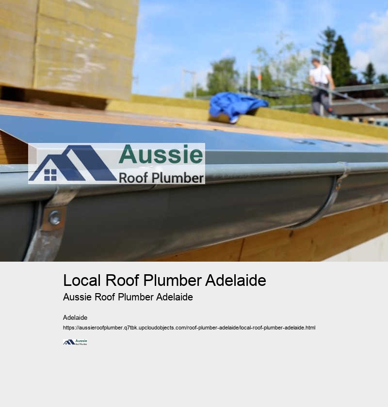 Adelaide Roof Plumbing Experts