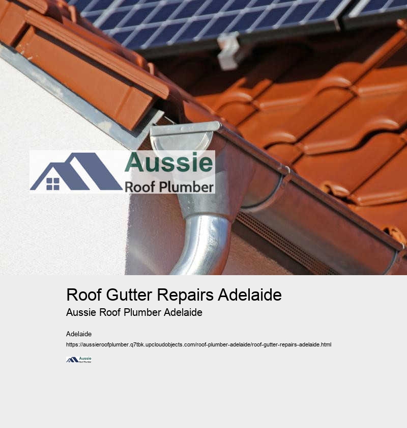 Adelaide Emergency Roof Plumber